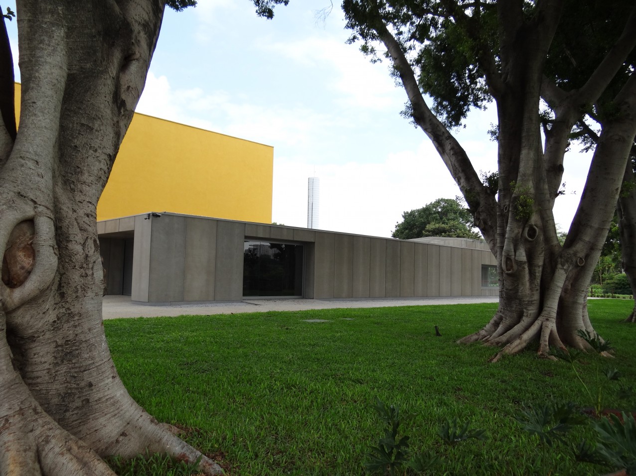 Obra especial - Instituto Ana Rosa