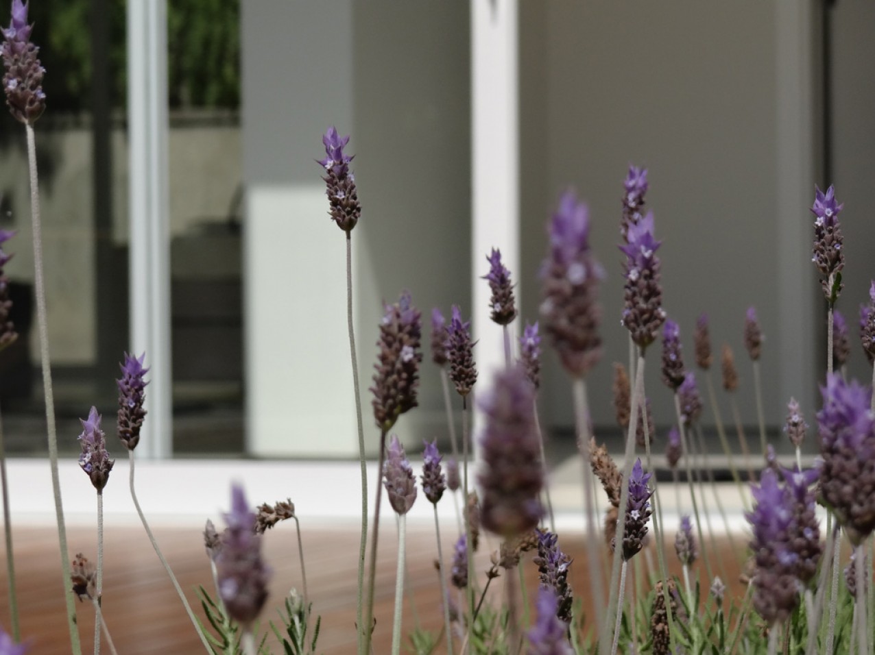 Obra residencial alto da Boa Vista IV - Janelas